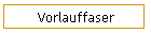 Vorlauffaser