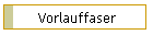 Vorlauffaser